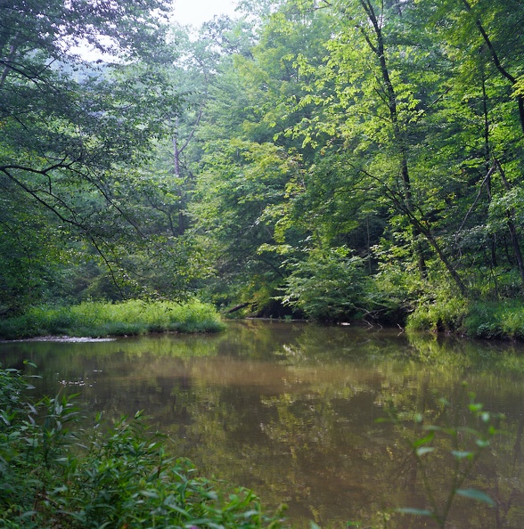 Sheltowee Trace - 03 - Sheltowee Trace reflections.jpg